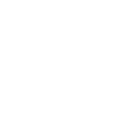 Website logo